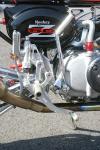 Andrew Mandale's £10k Monkey