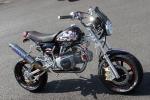 Andrew Mandale's £10k Monkey