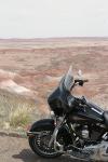 The Painted Desert in the Petrified Forest National Park, Arizona