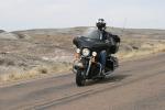 Diversion into Petrified Forest National Park, just off R66.