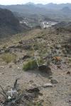 Tragic section of the 1926 route: mine workers returning late at night in poorly braked cars with ineffective lights would reach this hairpin bend from down the hill and be unable to stop. Scores of people died here, many crosses are still maintained.